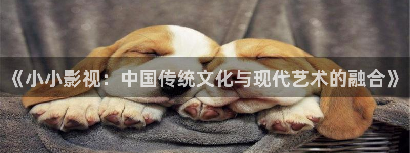 天空的尽头 电影：《小小影视：中国传统文化与现代艺术的融合》