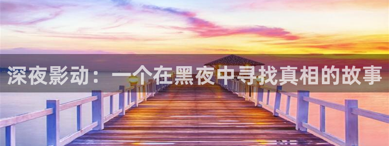d35cc天空免费资料大全：深夜影动：一个在黑夜中寻找真相的故事