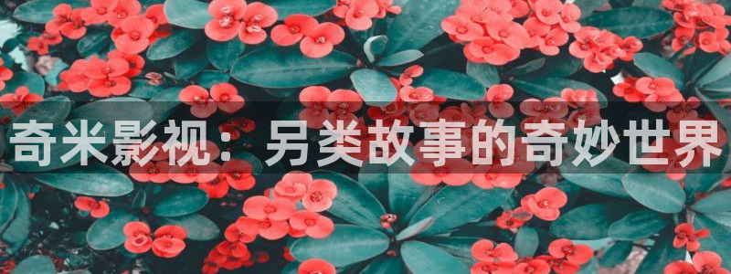天空高清：奇米影视：另类故事的奇妙世界