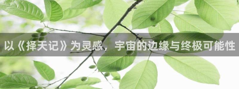 天空上下：以《择天记》为灵感，宇宙的边缘与终极可能性