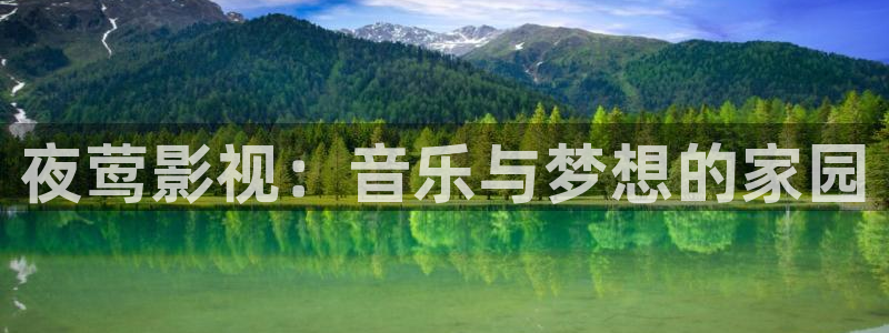 天空体育在线：夜莺影视：音乐与梦想的家园