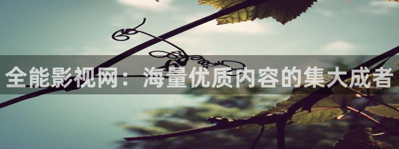 黄昏天空高清：全能影视网：海量优质内容的集大成者