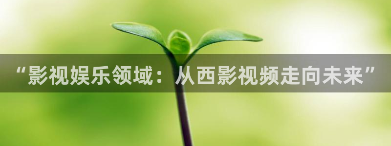 天空的姻缘全集在线观看：“影视娱乐领域：从西影视频走向未来”