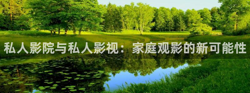 视频天空：私人影院与私人影视：家庭观影的新可能性